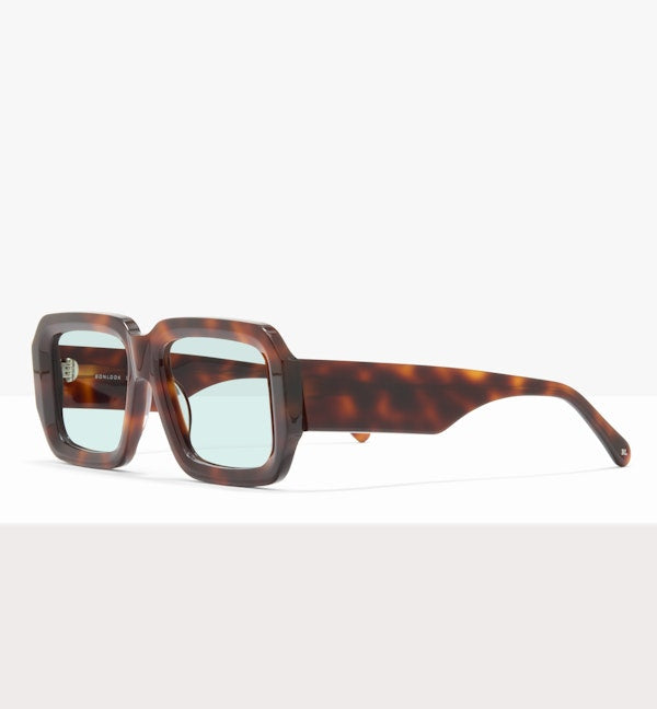Bronze Tort--angled_image_sun